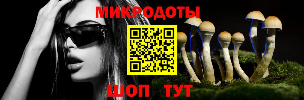 Псилоцибиновые грибы MAGIC MUSHROOMS  Вход с VPN  Алатырь 