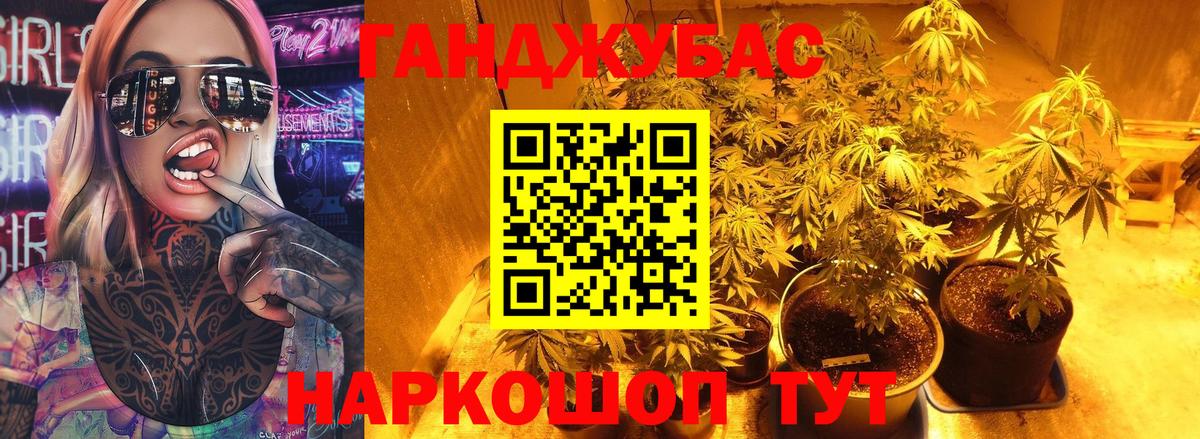 Шишки марихуана семена  Вход с VPN  МАРИХУАНА White Widow  Алатырь 